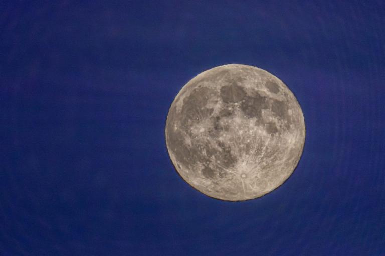 25. Januar 2024-3L9A8378-CR3_DxO_DeepPRIME-Bearbeitet-3-Bearbeitet