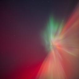 WhatsApp Image 2026-01-20 at 06.13.37