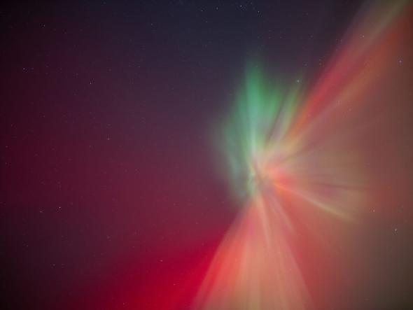 WhatsApp Image 2026-01-20 at 06.13.37